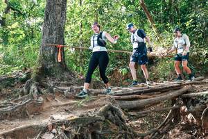 BIB: 
                            <button type="button" onclick="openModal(27716798)" class="btn btn-primary btn-sm float-right btn-popup" data-toggle="modal" data-target=".modal-high-quality">
                        <i class="fas fa-shopping-cart"></i> Add to Cart
                    </button>
                                            <button type="button" onclick="isThisMe(27716798, true)" class="btn btn-success btn-sm float-right btn-popup btn-isme hidden" data-toggle="tooltip" data-placement="bottom" title="นี่คือรูปของคุณใช่ไหม คลิกที่นี่เพื่อเอาเข้าอัลบั้ม">
                        <i class="fas fa-plus"></i> Add to album
                    </button>
                    <button type="button" onclick="isThisMe(27716798, false)" class="btn btn-warning btn-sm float-right btn-popup btn-isnotme hidden">
                        <i class="fas fa-ban"></i> Remove from album
                    </button>